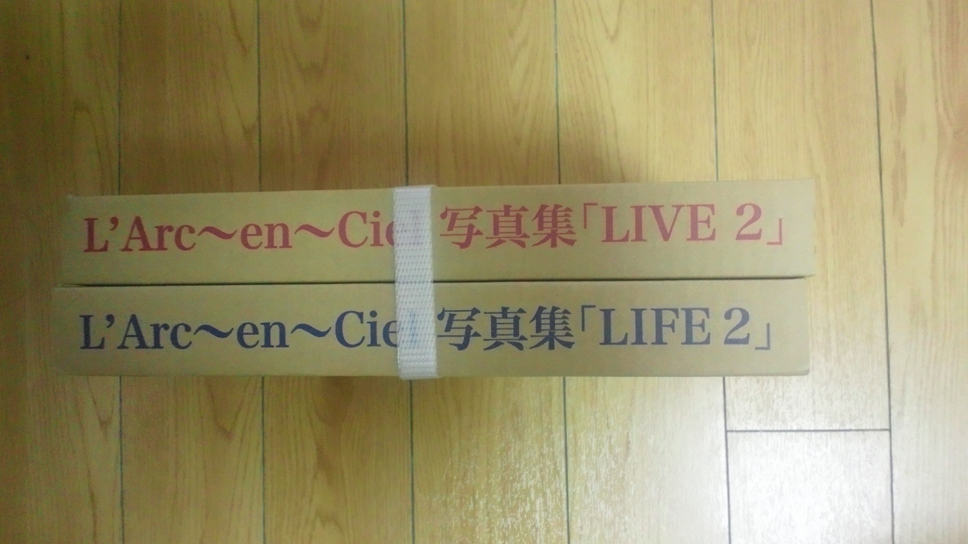 L'Arc～en～Ciel WORLD TOUR 2012 「LIFE 2」「LIVE2」写真集: ドエル